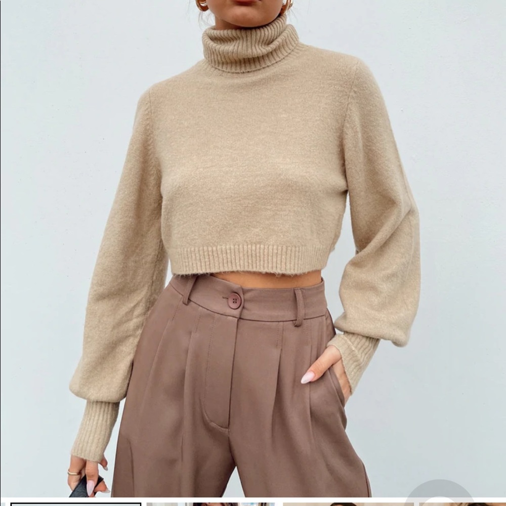 Princess Polly Zahara Cropped Turtleneck Sweater Beige